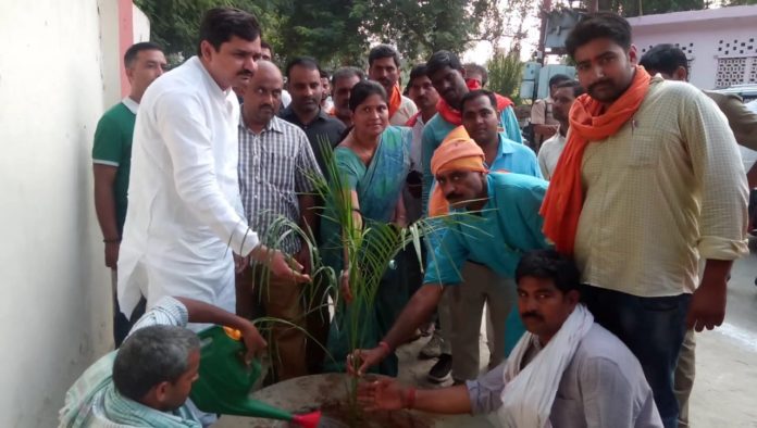 श्रृंगारित वसुन्धरा हेतु वृक्षारोपण आवश्यक
