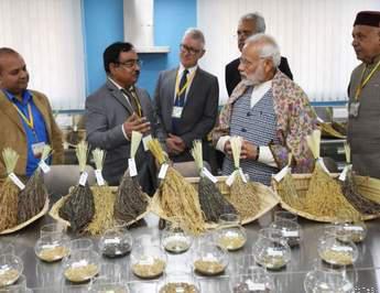 प्रधानमंत्री ने अंतराष्ट्रीय चावल अनुसंधान केंद्र किया देश को समर्पित