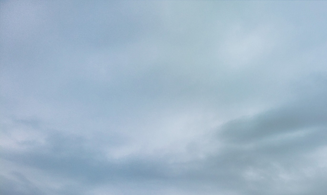 दस्तक ! पछुआ हवा ने बढ़ायी ठंढ और गलन    *गलन के चलते प्राथमिक विद्यालयों में होनी चाहिये छुट्टी*