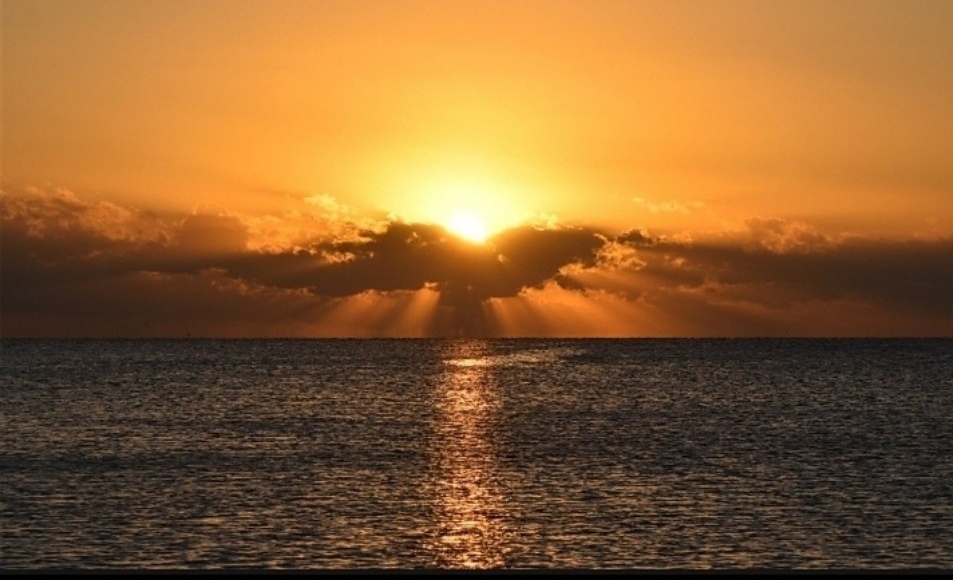 मौनी अमावस्या ! 50 लाख श्रद्धालुओं ने लगाई डुबकी