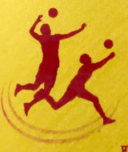 राज्य स्तरीय बालीबाल प्रतियोगिता 22 से