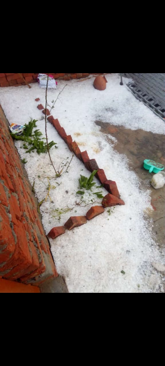 चक्रवाती तूफान, ओले और बारिश ने तोड़ी किसानों की कमर