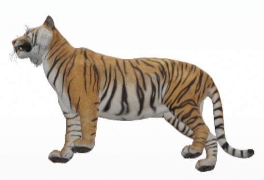 कोरोना से बचाव के लिए सेंट्रल जू अथॉरिटी ने चिड़ियाघरों के लिए दिया निर्देश