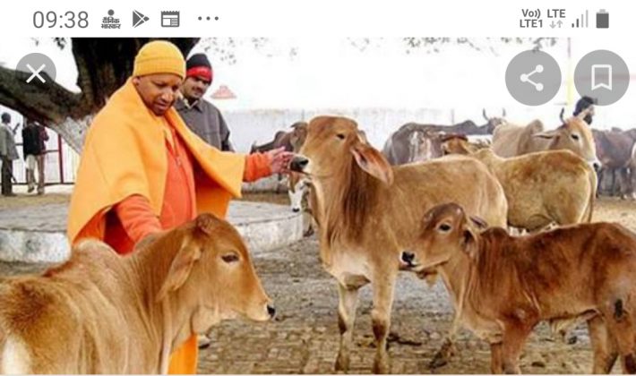 सख्ती ! गो कशी पर होगी दस साल की सजा और पांच लाख का जुर्माना