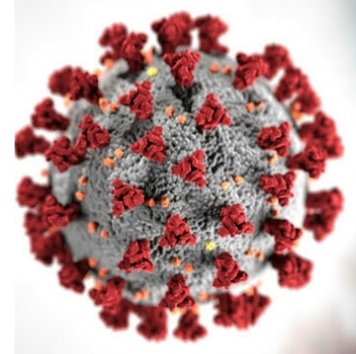 कोरोना ! पुलिसकर्मी की मौत के बाद फर्रुखाबाद कोतवाली सील