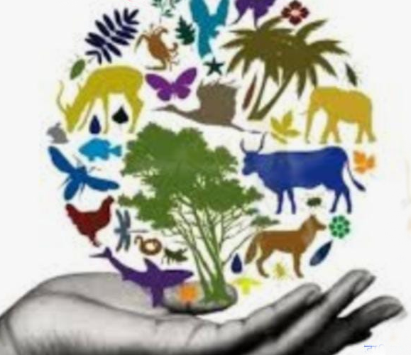 विश्व पर्यावरण दिवस ! स्वस्थ जीवन के लिए पर्यावरण संरक्षण जरूरी