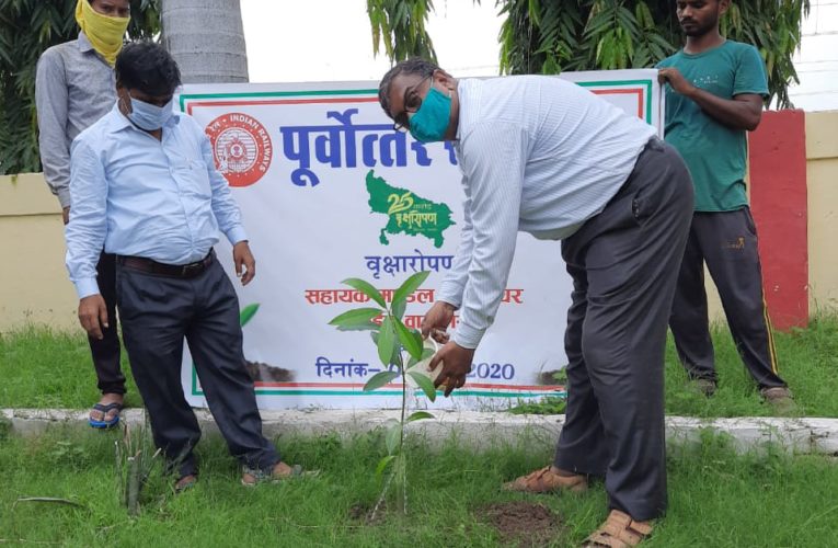 रेलवे ! पर्यावरण संरक्षण हेतु 9250 पौधों का किया पौधारोपण