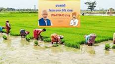 किसान सम्मान निधि में रुकावट का आयोजित कैम्प में होगा निस्तारण