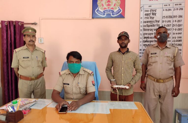 अवैध असलहे संग अभियुक्त गिरफ्तार