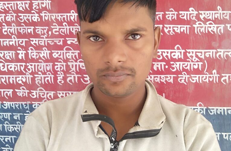 फर्जी नम्बर प्लेट लगाकर ट्रक चालक ट्रक सहित गिरफ्तार