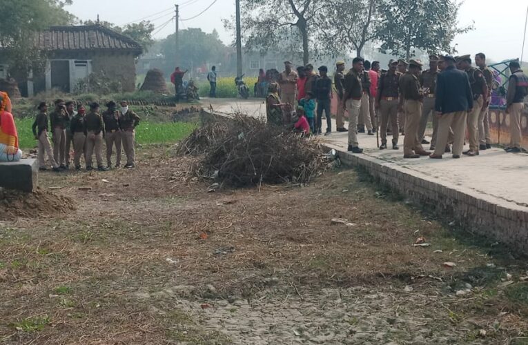 पट्टे की जमीन से प्रतिमा हटाकर पट्टाधारक को दिलाया कब्जा