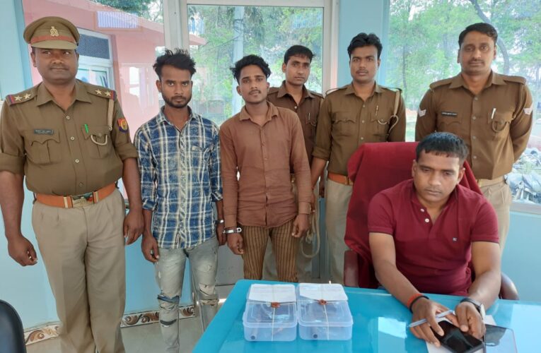 अवैध असलहे संग दो अभियुक्त गिरफ्तार