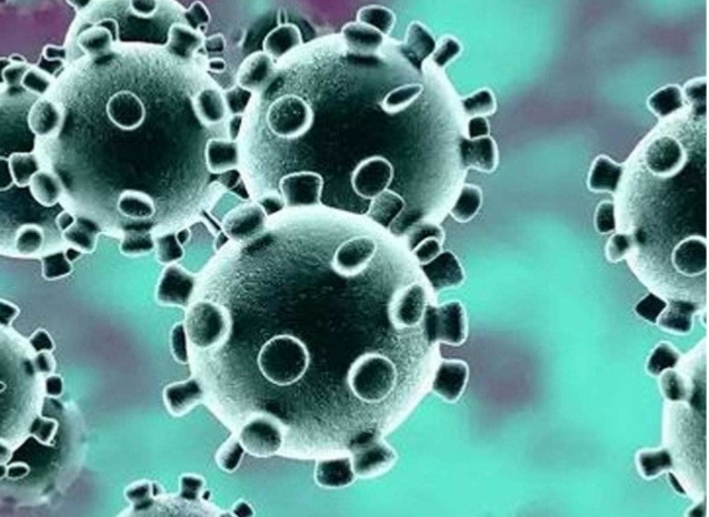 कोरोना ! नये मिले 49 संक्रमित तो वहीं एकसंक्रमित ने तोड़ा दम,मृतकों की संख्या पहुंची 238