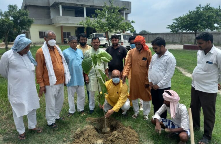 वृक्षारोपण संग शुरु हुआ डॉ श्यामाप्रसाद मुखर्जी का जन्मजयंती पखवारा