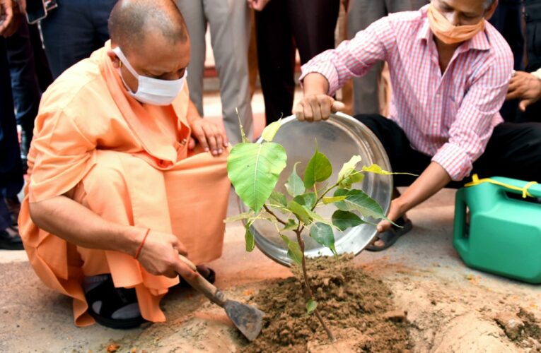 मुख्यमंत्री योगी आदित्यनाथ ने पौधा लगाकर वृक्षारोपण जन-आंदोलन का किया शुभारंभ