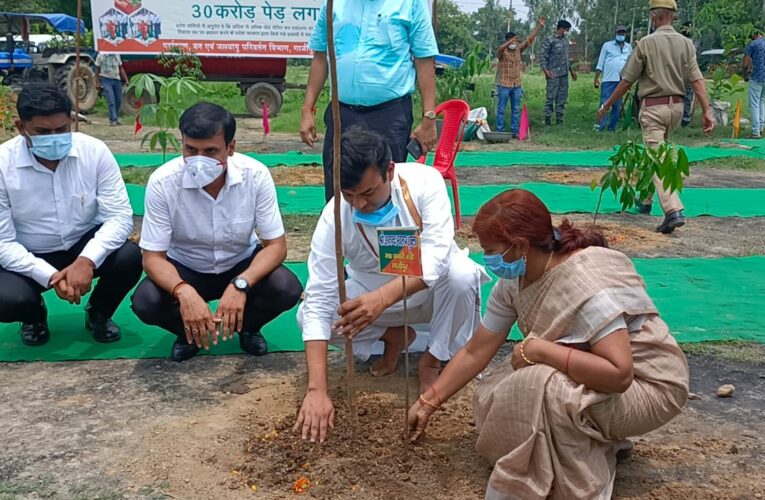 मंत्री आनन्द स्वरूप शुक्ला ने किया बृहद वृक्षारोपण अभियान 2021 का शुभारंभ