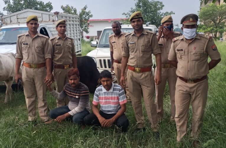 शुक्रवार का दिन पशु तस्करों पर रहा भारी