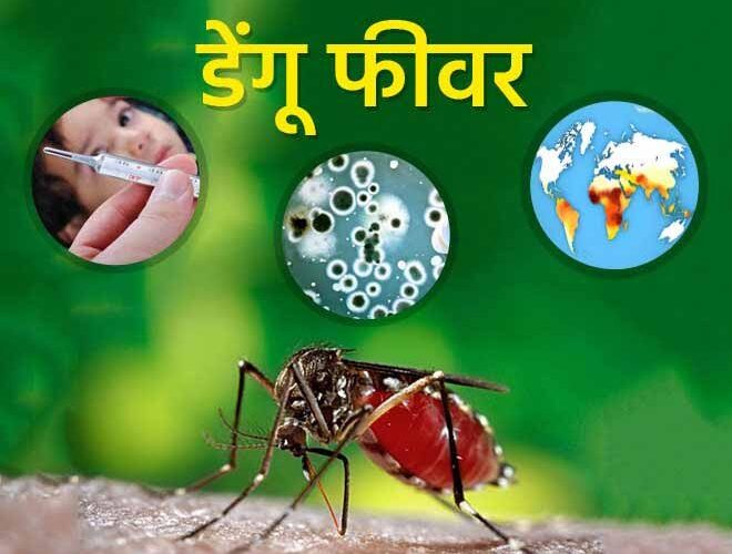 डेंगू से बचाव के लिए साफ-सफाई आवश्यक