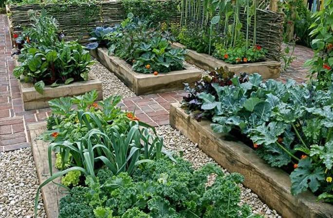 न्‍यूट्रीशियन की सलाह से परिवार में लाये  खुशहाली