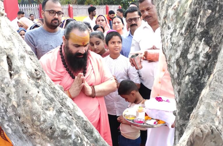 आंवला वृक्ष की पूजा से होती है अखंड सौभाग्य की  प्राप्ति