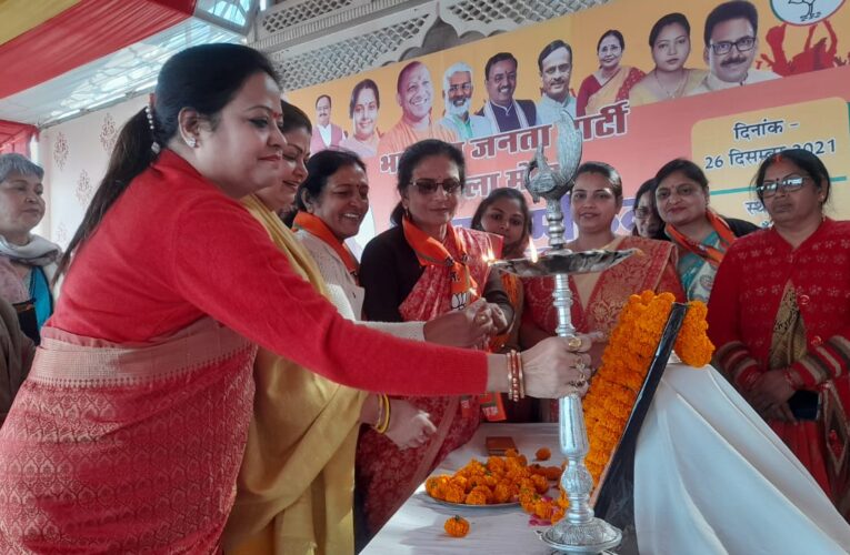 राष्ट्र को मजबूती प्रदान करने में अतुलनीय सहयोग प्रदान करती है महिलाएं – दर्शना सिंह