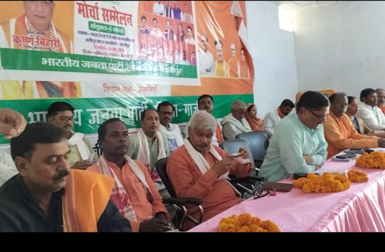 प्रधानमंत्री ने किया है देश की सभ्यता और संस्कृति को विश्व मे सम्मान दिलाने का काम 