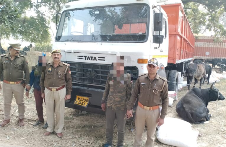 दो दर्जन गोवंशीय पशुओं के साथ दो तस्कर गिरफ्तार 