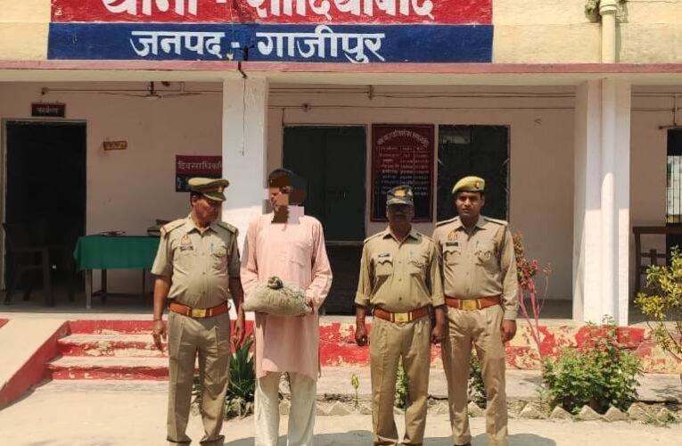 अवैध गांजे संग अभियुक्त गिरफ्तार 