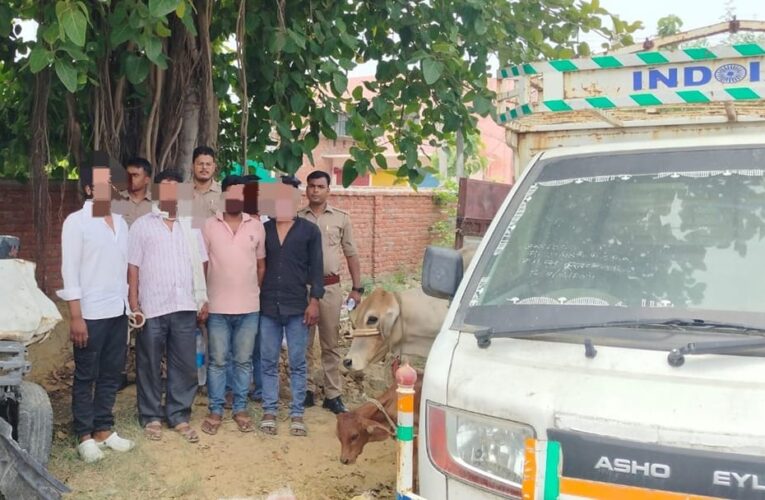 नौ गोवंशों के साथ पांच अभियुक्तों को पुलिस ने दबोचा 