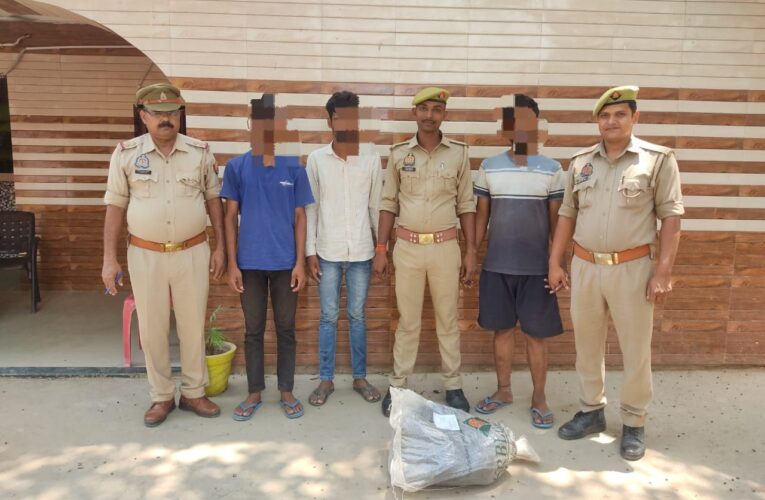 चोरी के बिजली केबिल संग तीन गिरफ्तार 