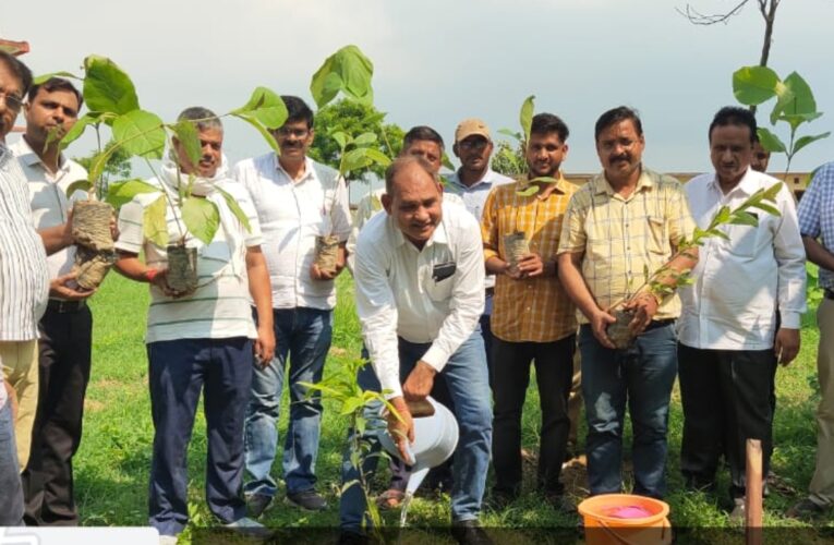 पर्यावरण संरक्षण – वृक्षारोपण को जन-आंदोलन बनाने की जरूरत 
