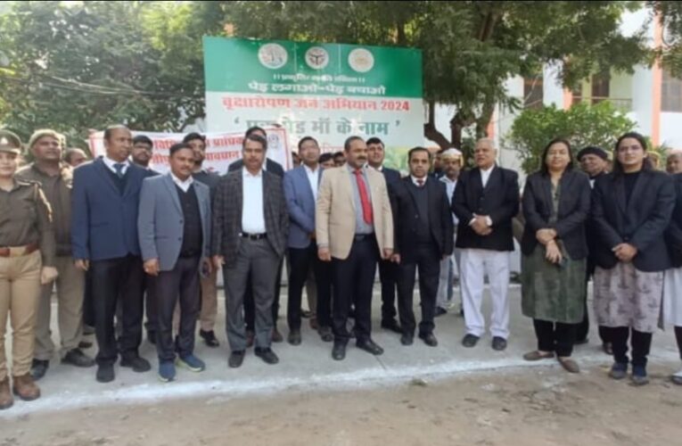 जिला जज ने सहयोगियों सहित किया पौधारोपण