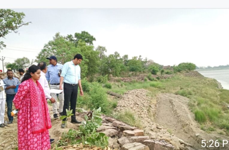 स्थलीय निरीक्षण में डीएम ने परखी गुणवत्ता 