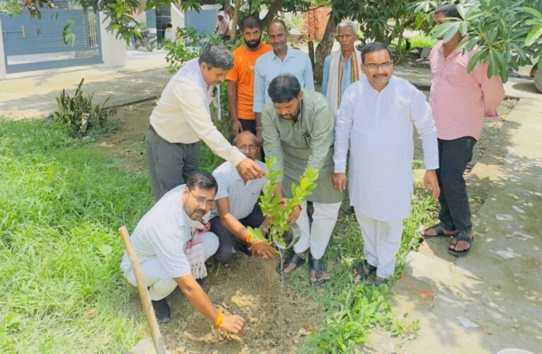 मन की बात कार्यक्रम के उपरांत पौधारोपण कर दिया पर्यावरण संरक्षण का संदेश 