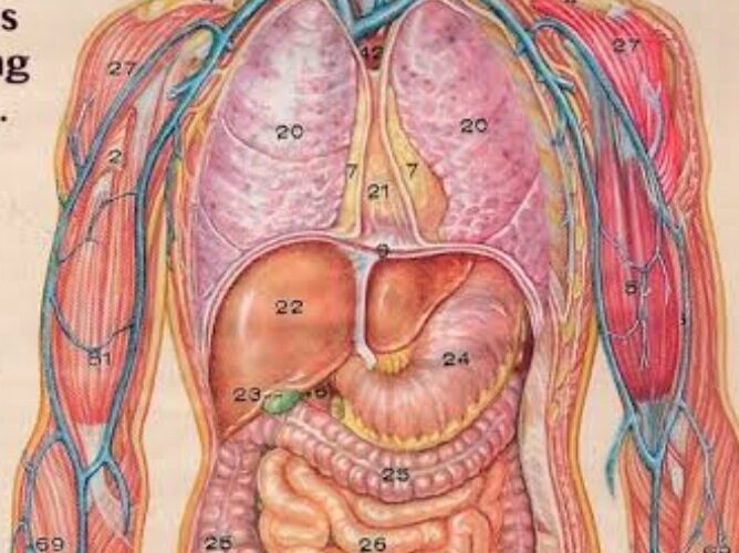 ईश्वर की प्रोडक्ट पैकिंग इंडस्ट्री और इंसान