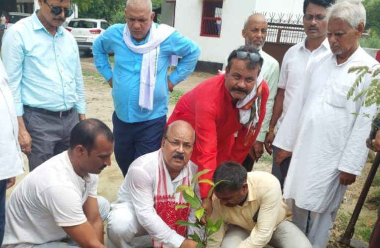 पर्यावरण संरक्षण हेतु पौधारोपण आवश्यक – बृजेन्द्र राय