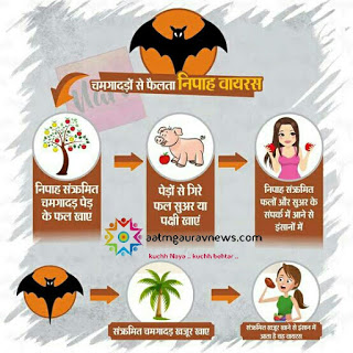 निपाह ! बचाव व होमियोपैथी 