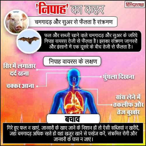 निपाह वायरस !  जाने वास्तविकता