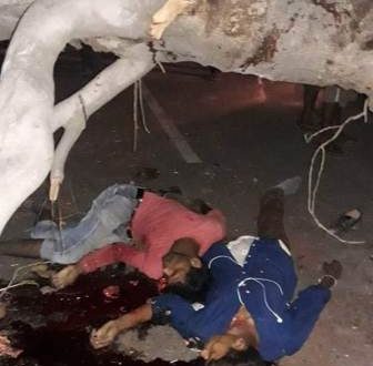 अनहोनी ! सड़क पर गिरे पेड़ से टकराने से दो युवकों की मौत