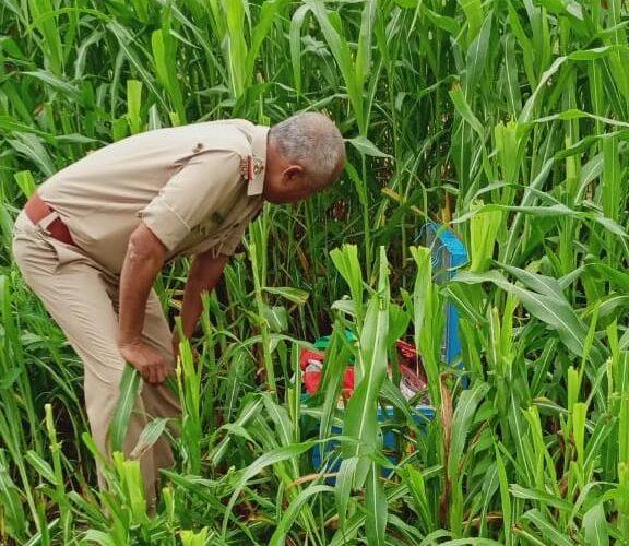 खेत में मिले साड़ी-कपड़ा व आभूषण के खाली डिब्बे