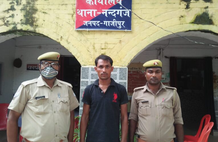 उन्तीस गो वंशीयों व ट्रक के साथ तस्कर गिरफ्तार