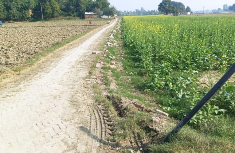 गांव के तोड़े गये खड़ंजों के पूनर्निमाण की मांग 