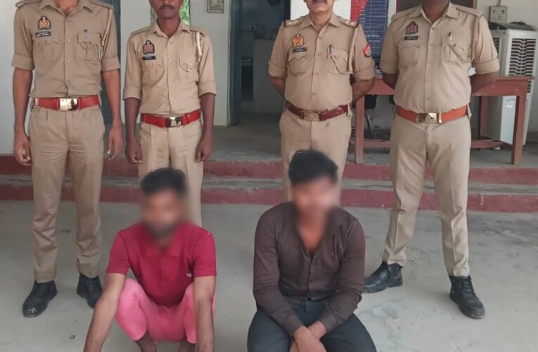 चोरी की मोबाइल व नकदी सहित दो युवक गिरफ्तार 