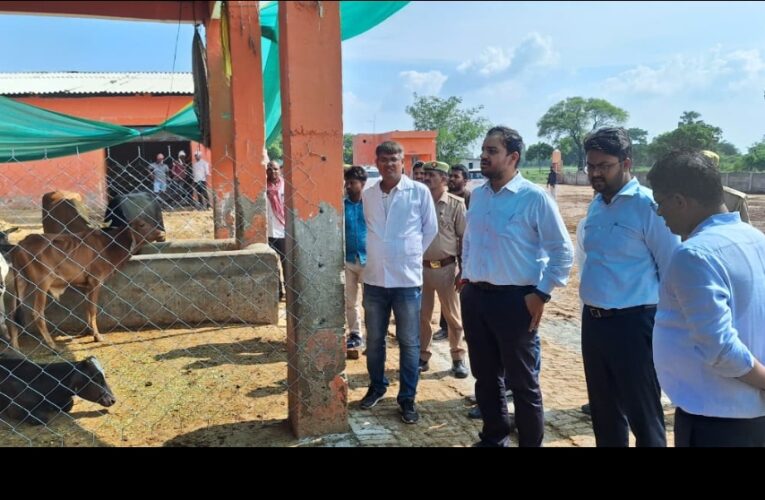 गो-संरक्षण केन्द्र का स्थलीय निरीक्षण  कर डीएम ने दिए सख्त निर्देश 