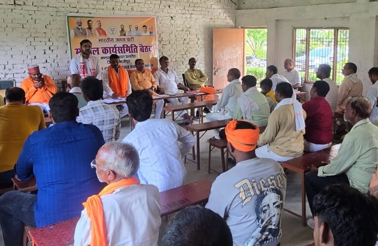 एक माह तक चलेगा भाजपा का सेवा संकल्‍प अभियान 